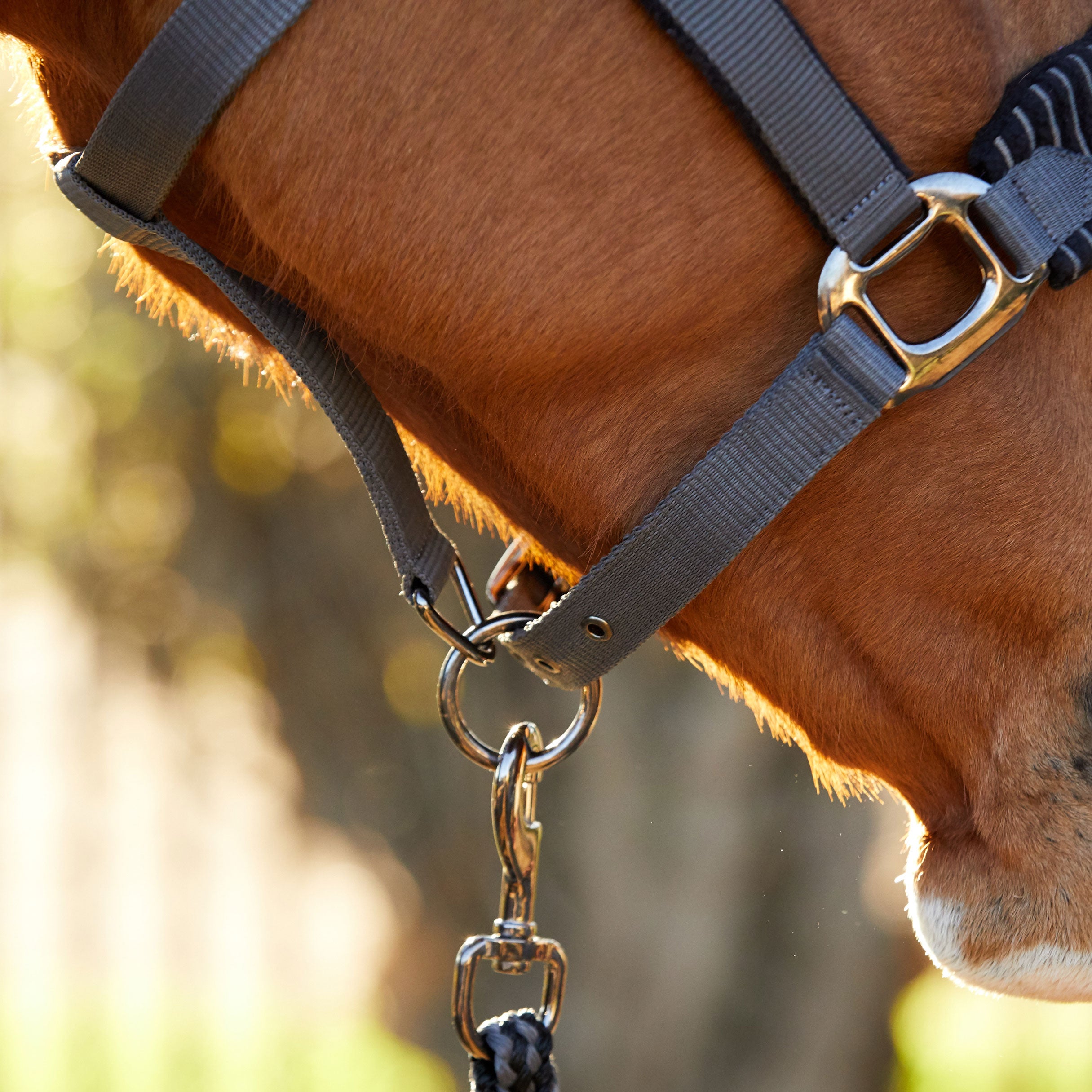 LeMieux Vogue Fleece Cushion Nylon Halter & Lead Rope Riding Warehouse