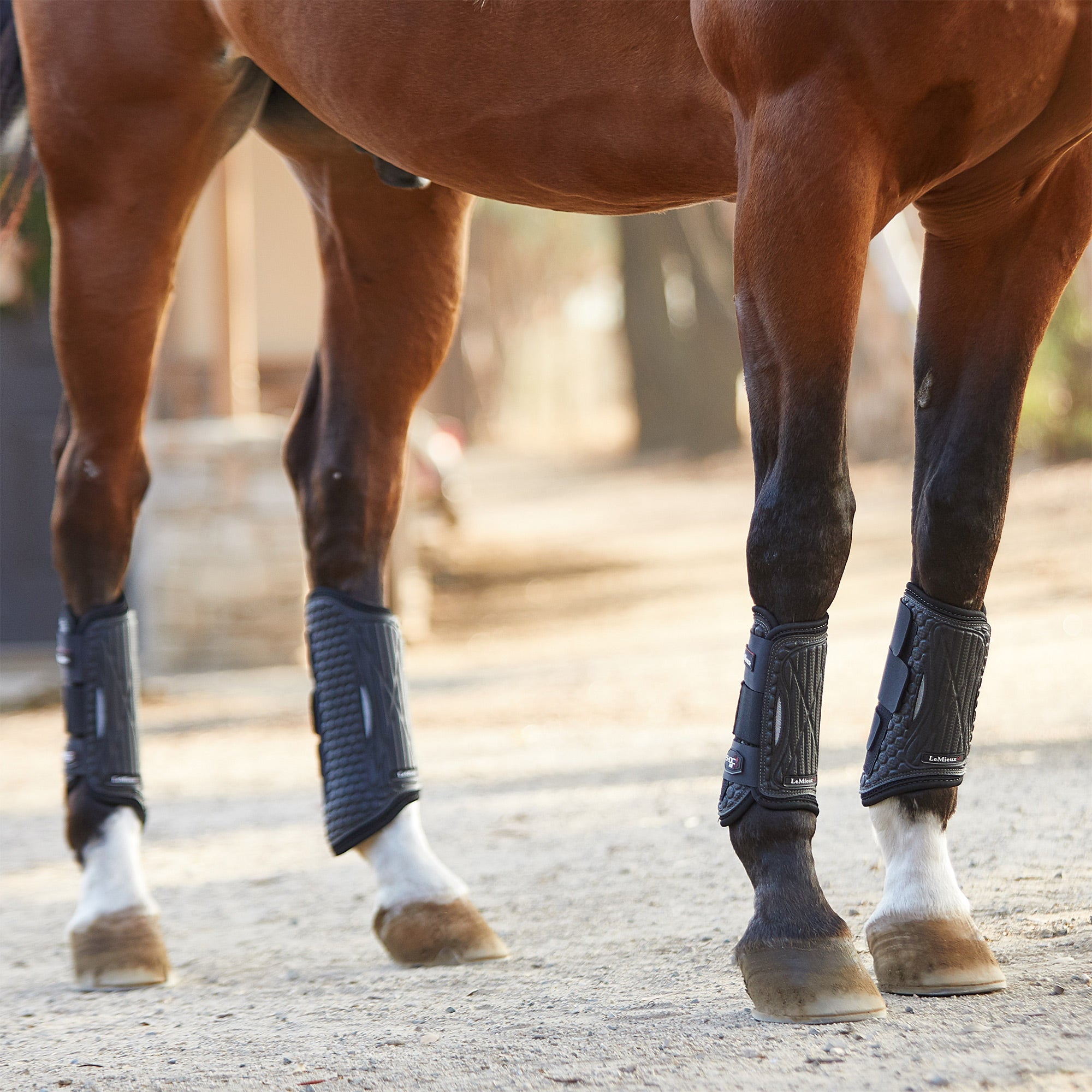 LeMieux Shoc Air Cross Country Horse Boots Front Riding Warehouse