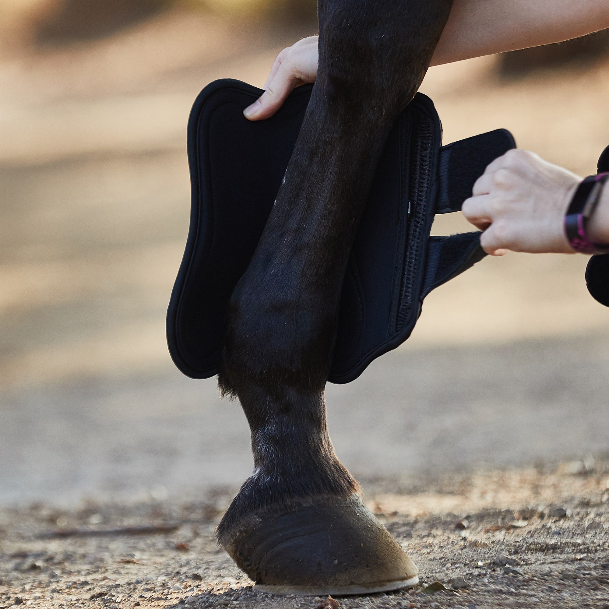 LeMieux Schooling Horse Boots- Pair - Riding Warehouse