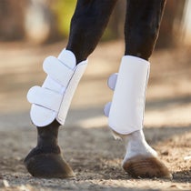 LeMieux Schooling Horse Boots- Pair