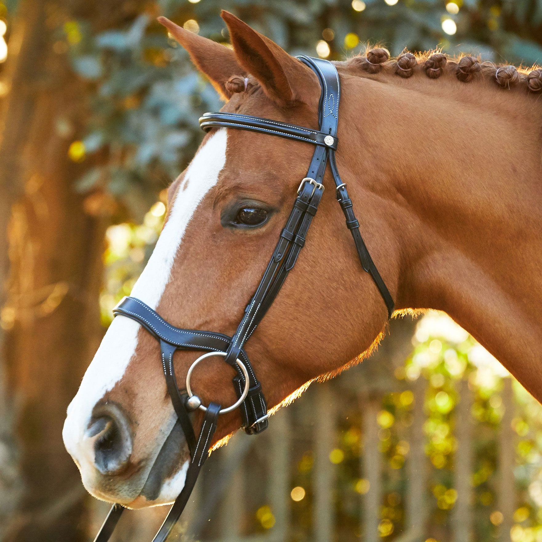 Marcel Toulouse 3B3 Hybrid Dressage Anatomical Bridle Riding Warehouse