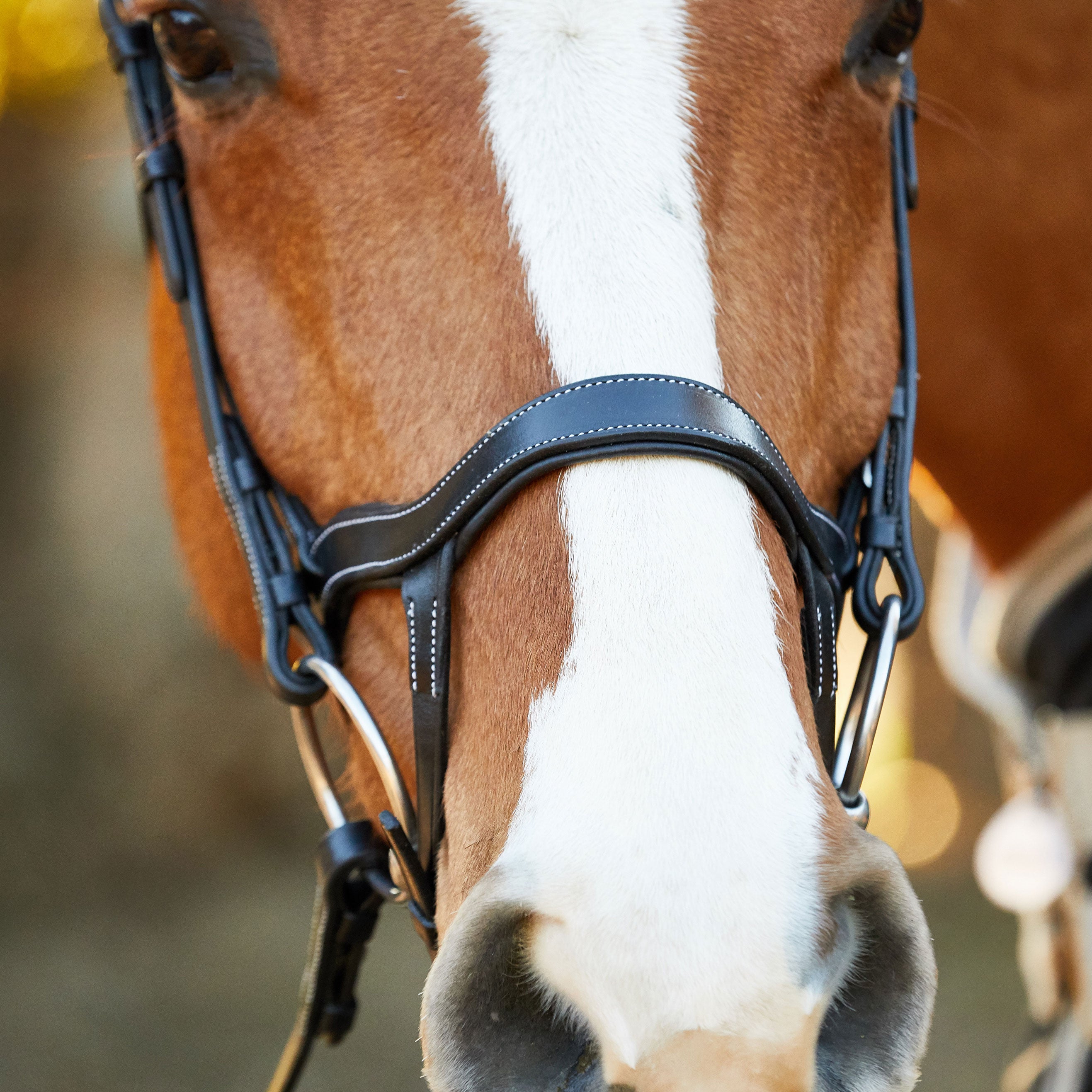 Marcel Toulouse 3B3 Hybrid Dressage Anatomical Bridle Riding Warehouse