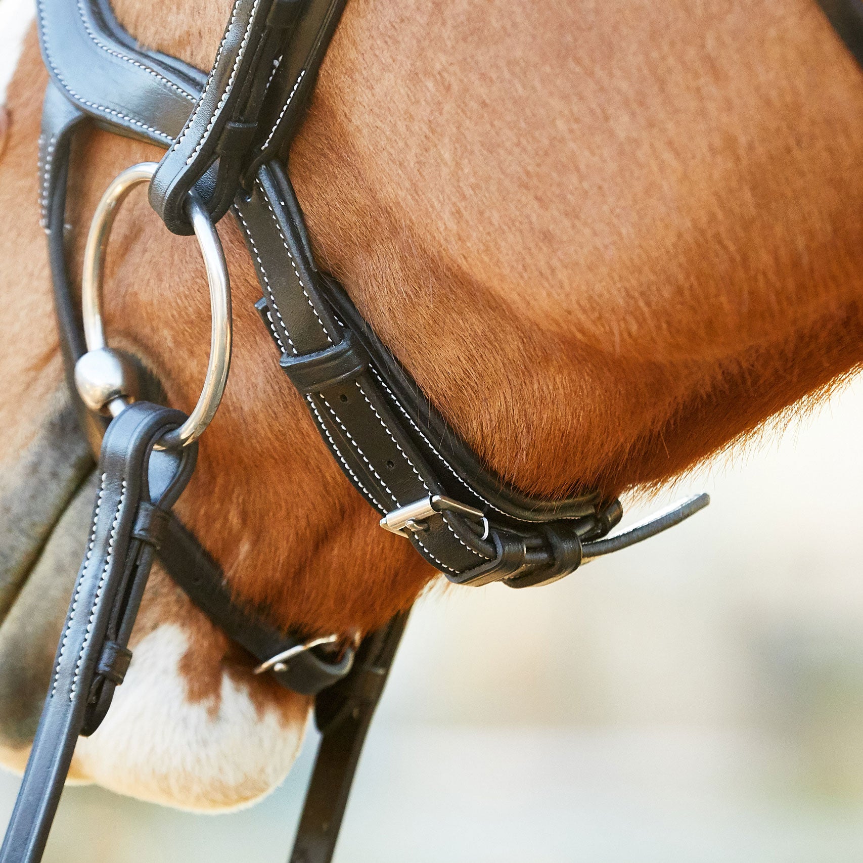 Marcel Toulouse 3B3 Hybrid Dressage Anatomical Bridle Riding Warehouse