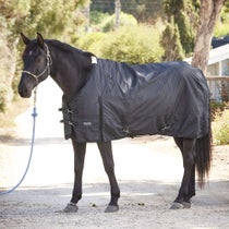 Professionals Choice 600D Equiesential Blanket 250g