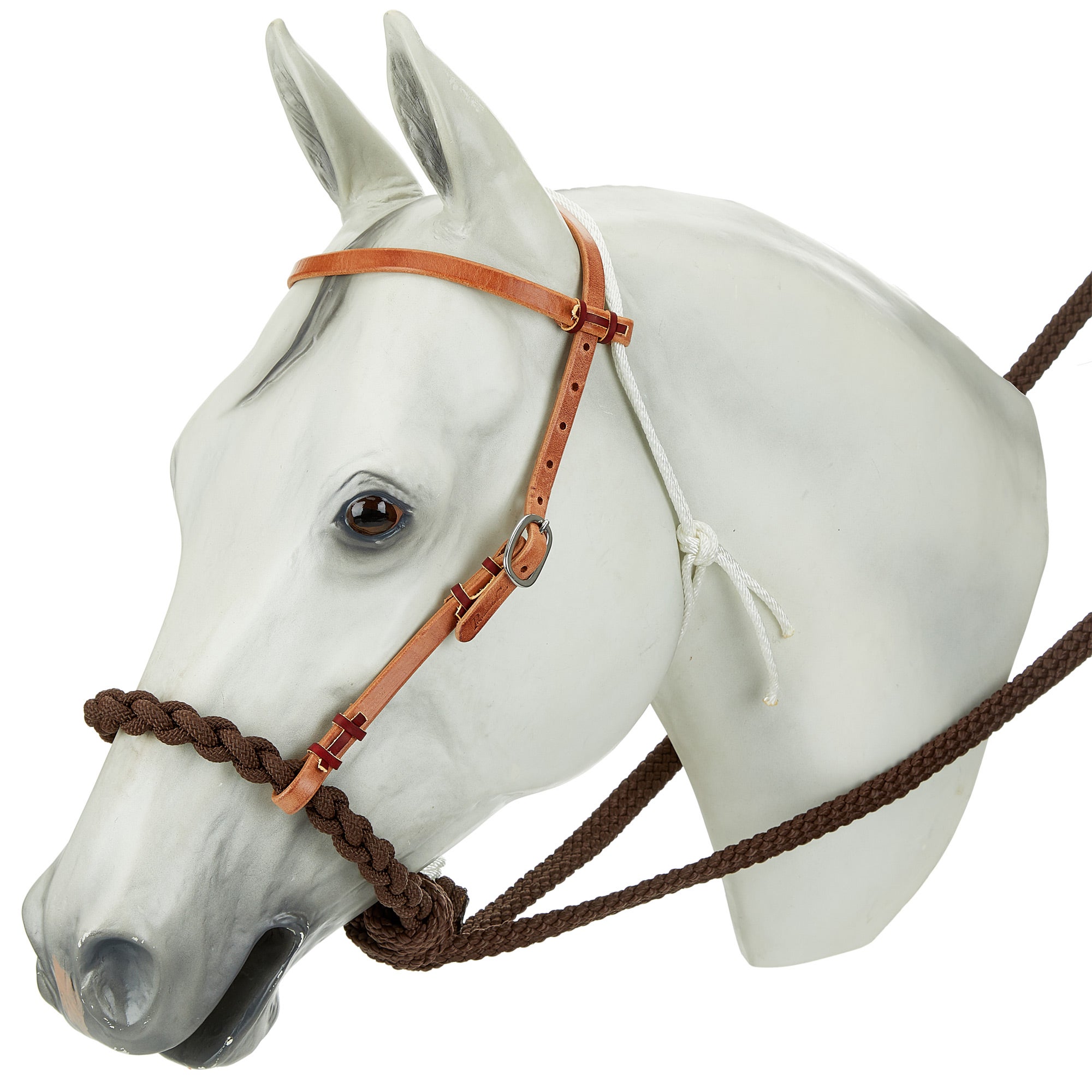 Professional's Choice Schutz Loping Hackamore Riding Warehouse