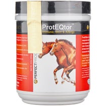 Perfect Products ProtEQtor Immune/Allergy Powder