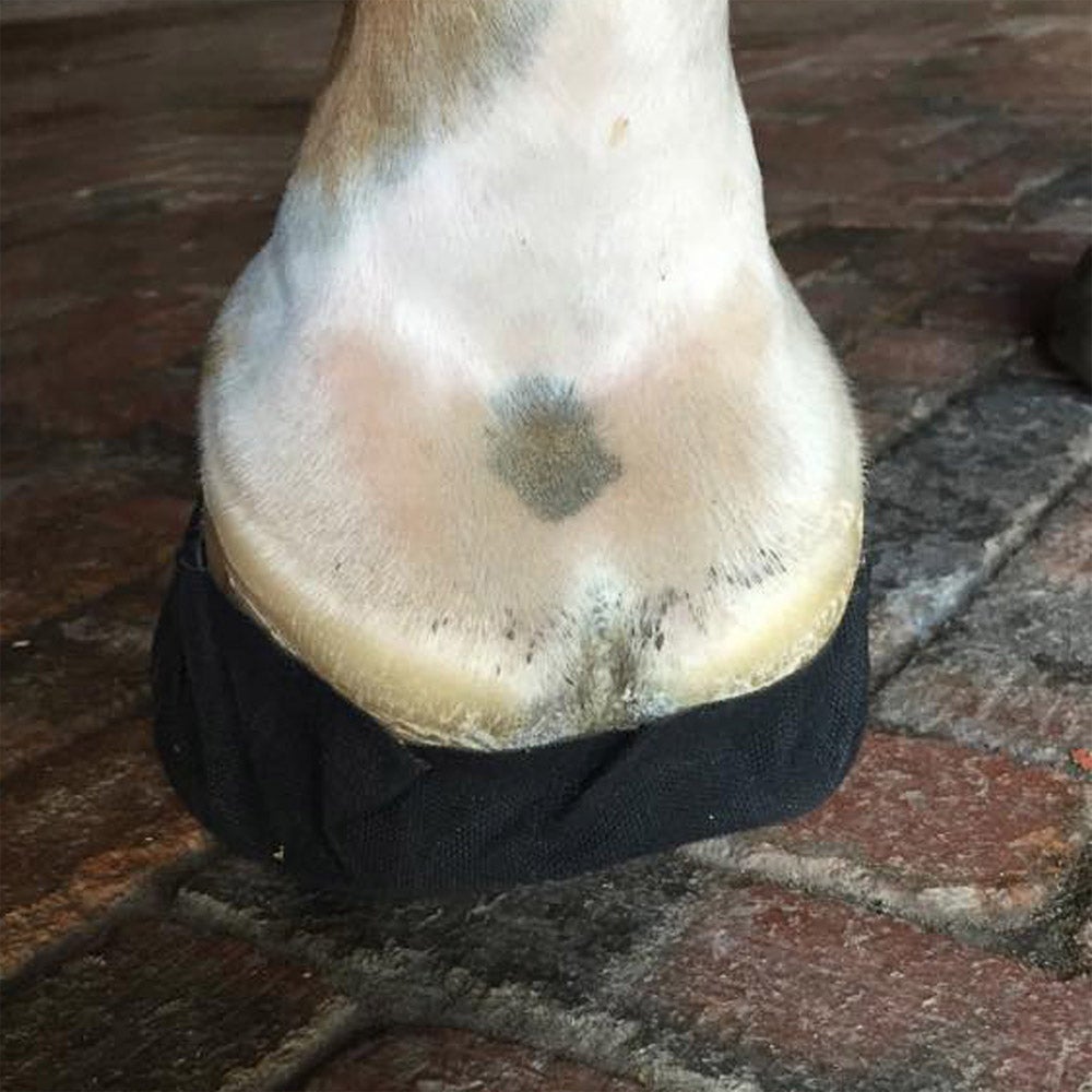 EquiFit PackNStick Hoof Packing Tape Single