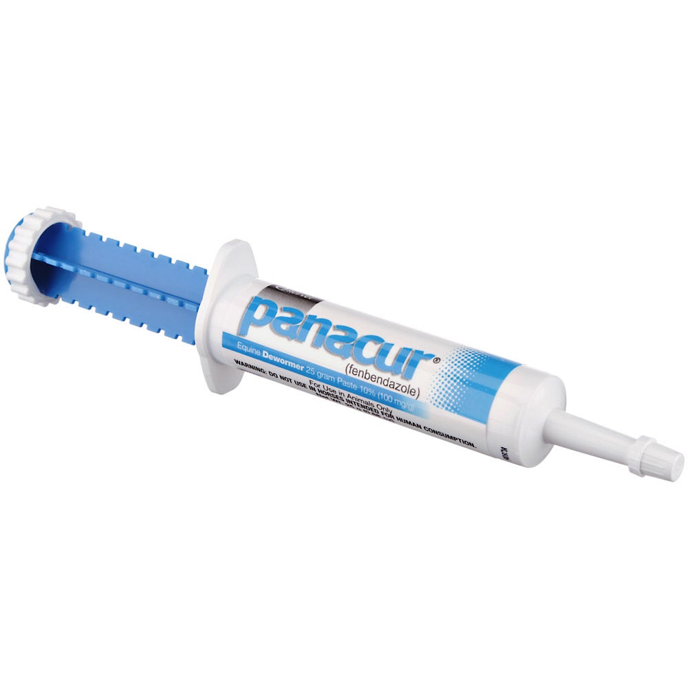 Panacur Fenbendazole Horse Dewormer Paste Riding Warehouse