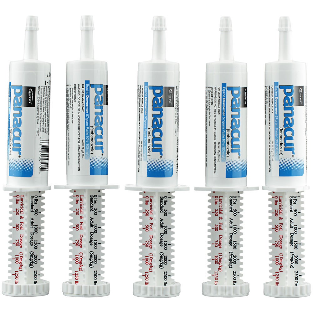 Panacur PowerPac Fenbendazole Horse Dewormer 5 X 57g Riding Warehouse