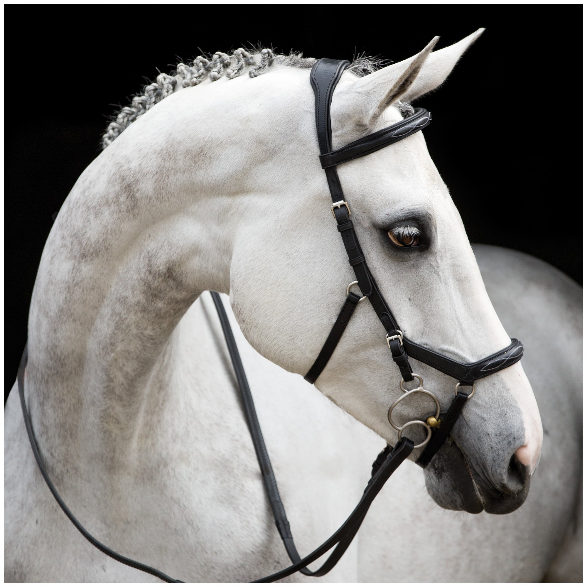 Rambo Micklem Competition Bridle Deluxe Trense Horseware Turnierzaum 