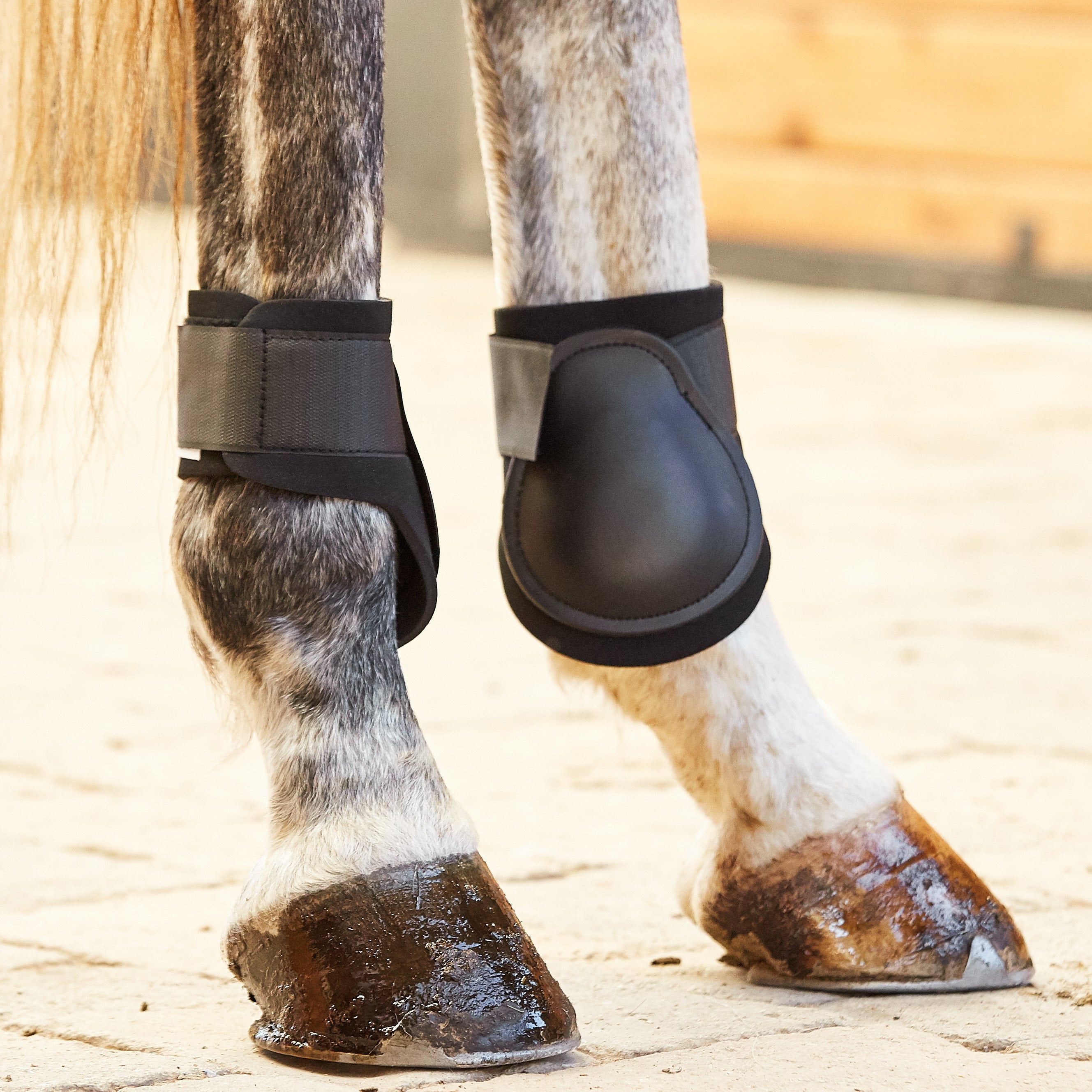 Roma Gel Hind Fetlock Horse Boots