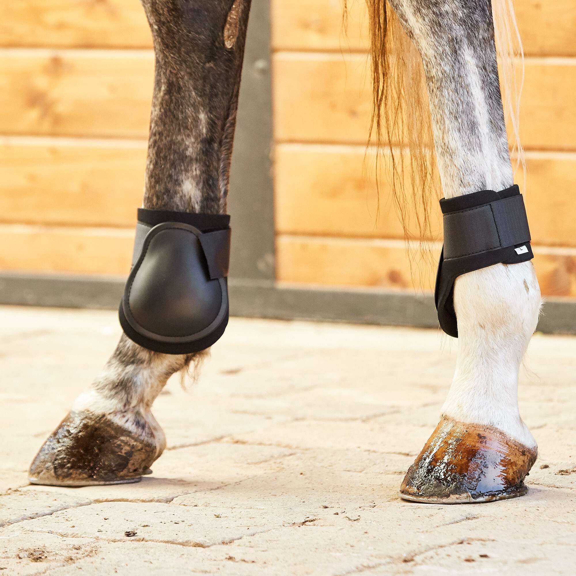 Roma Gel Hind Fetlock Horse Boots