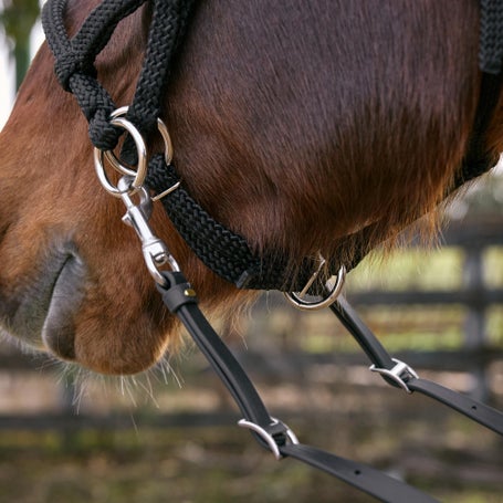 Earthhorse Equipment Bitless Bridle – Adjustable Sidepull Riding Halter (No Reins) – Pick Size & Color