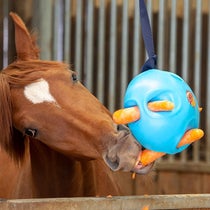 Shires Horse & Pony Carrot Treat Ball Toy