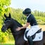 Tipperary All Purpose Saddle Pad