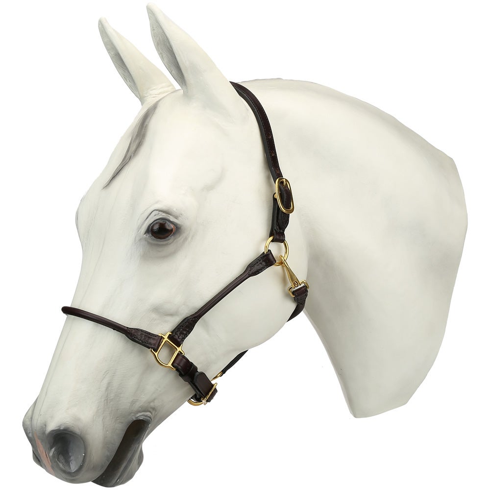Tory ArabianSized Rolled Leather Halter