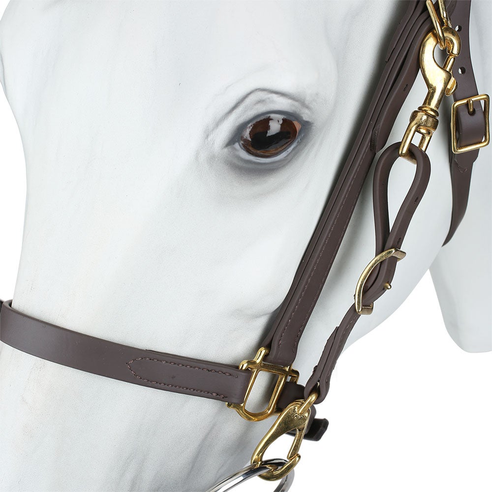 Tory All Weather Synthetic Trail Halter Bridle Combo