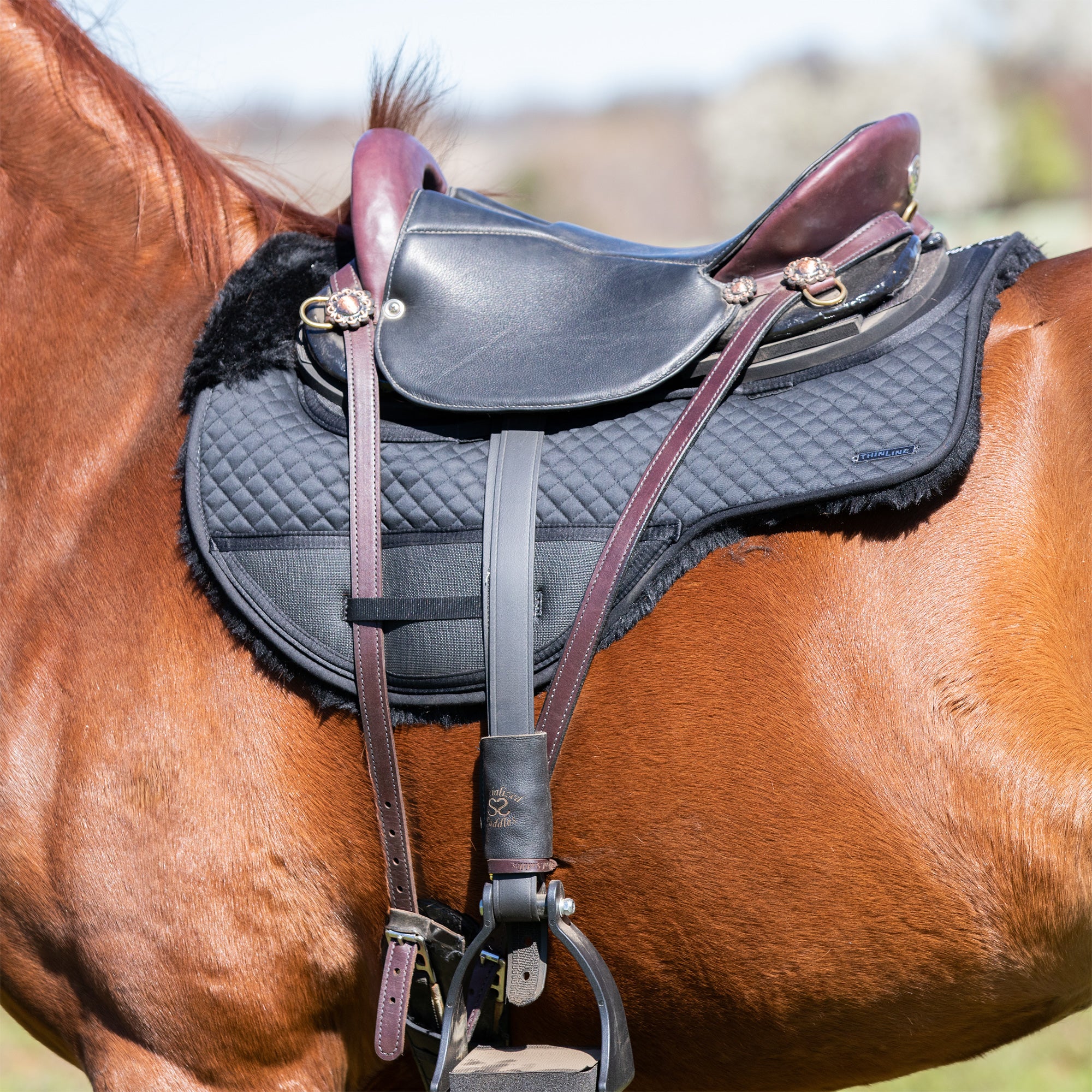 thinline-drop-rigging-endurance-saddle-pad-riding-warehouse