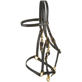 Tory Leather Combination Halter Bridle 