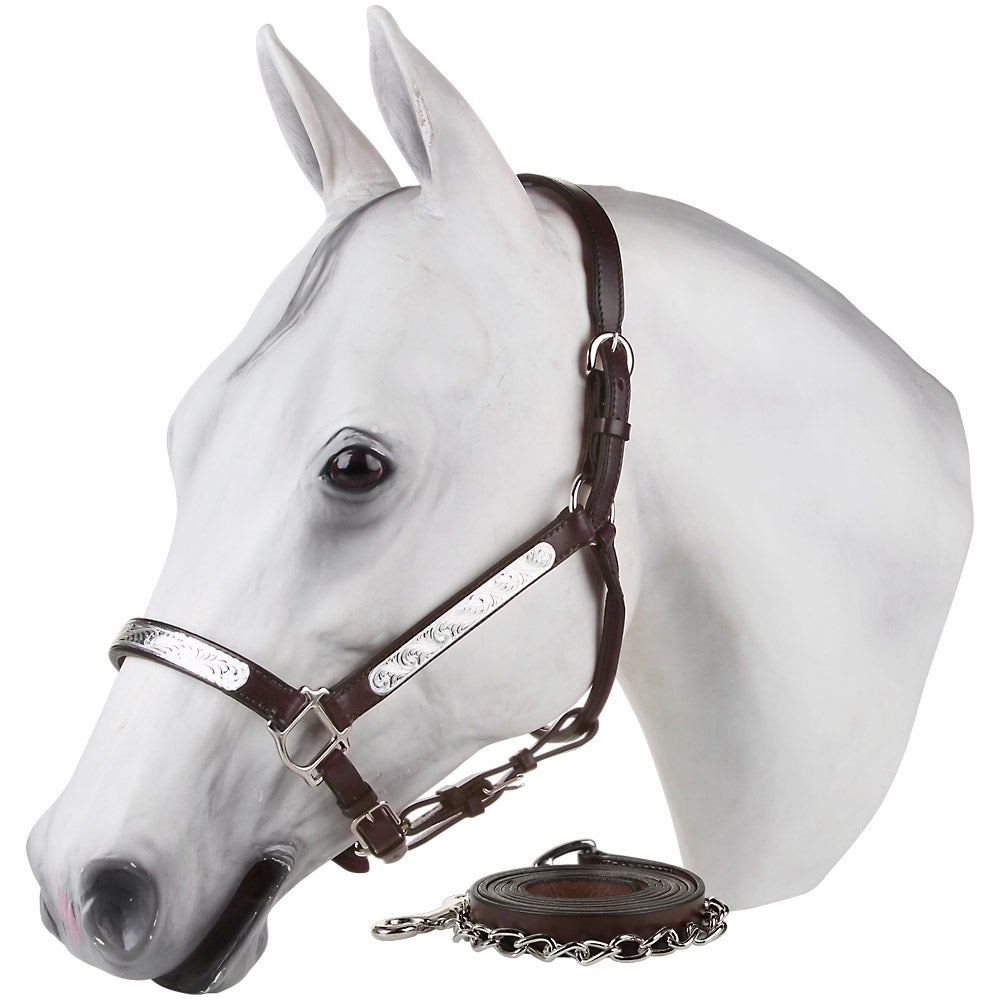 Sport LEATHER AND SILVER WESTERN HORSE SHOW HALTER WITH MATCHING LEAD