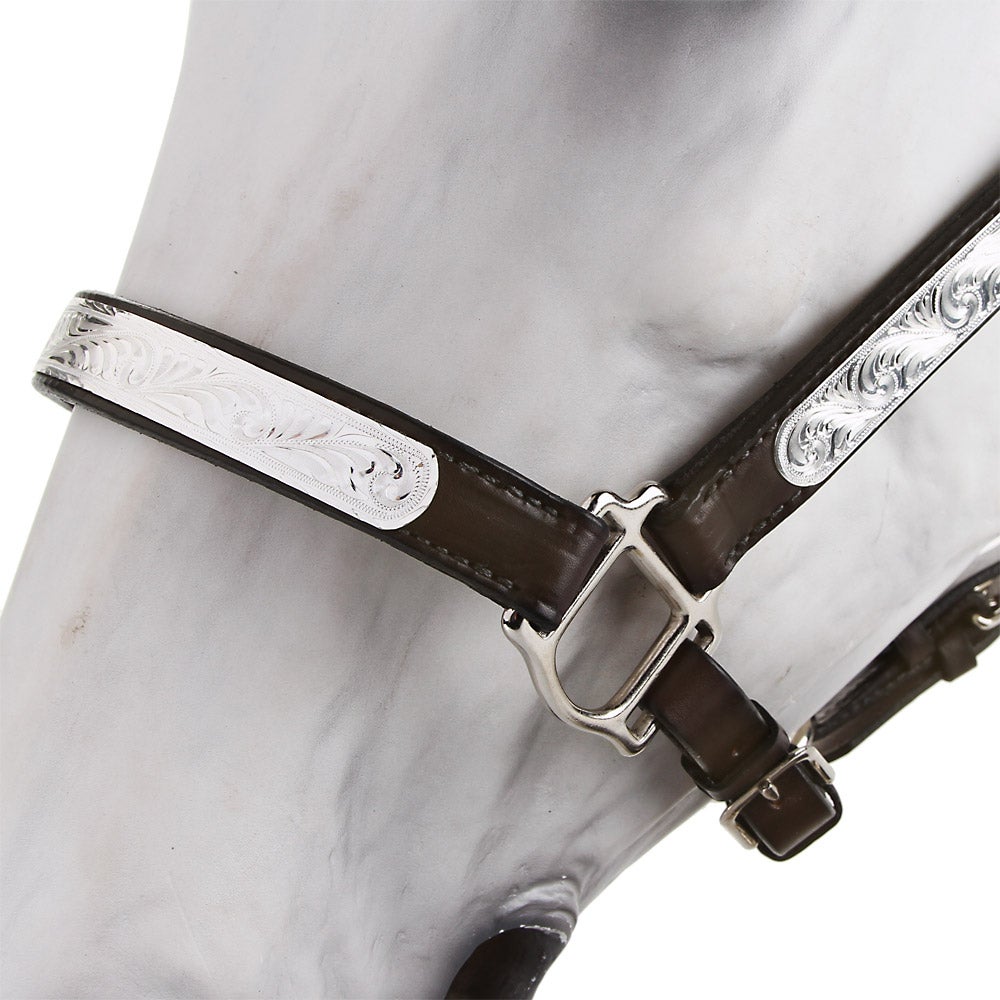 Tory Oklahoma Western Show Halter & Lead Horse