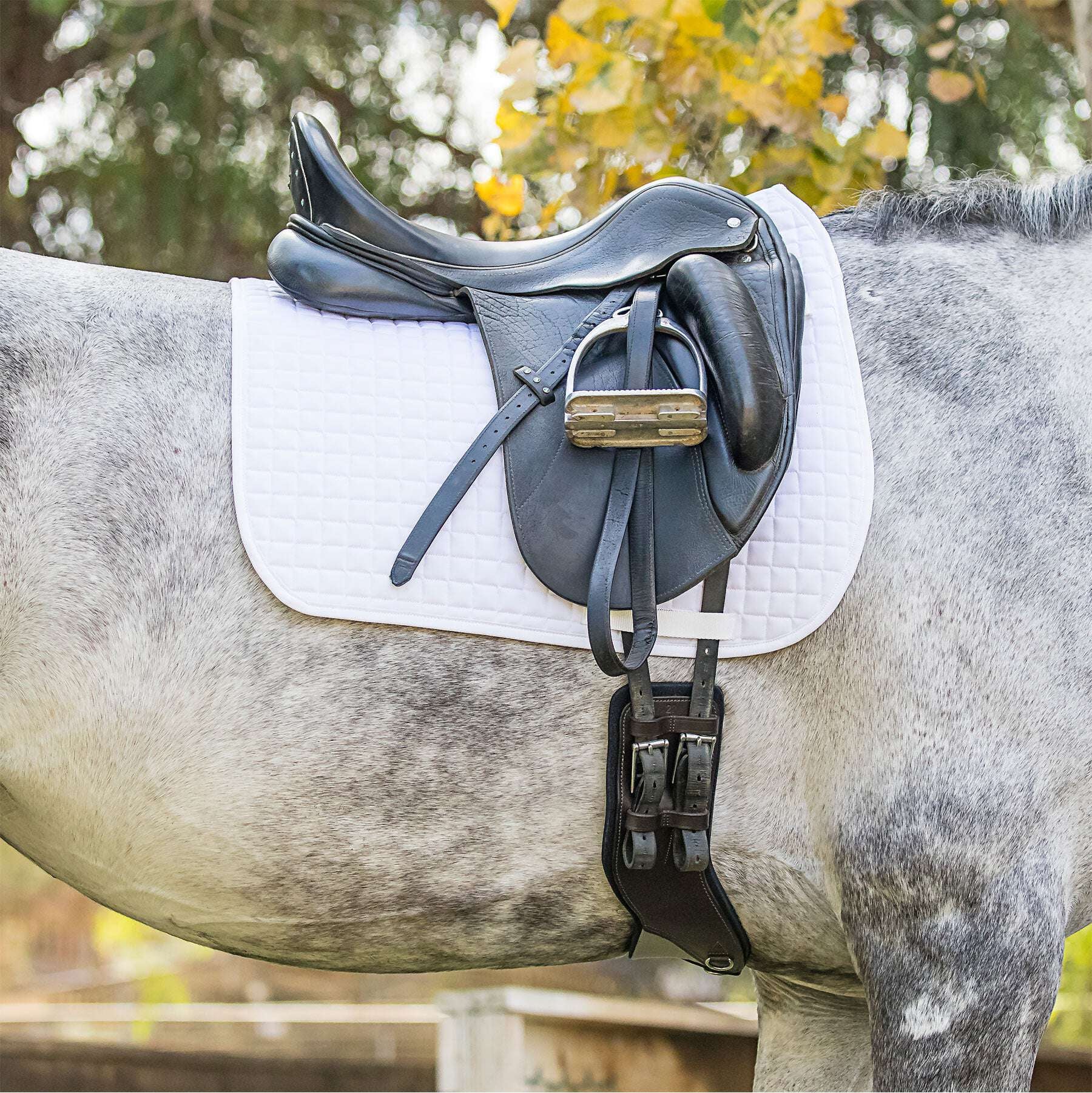TSF StretchTec Shoulder Relief Sheepskin Dressage Girth Riding Warehouse
