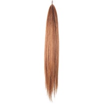 Trophy Tails Horse Tail Extensions