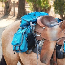 Tucker Adventurer Saddle Bag with Cantle Bag