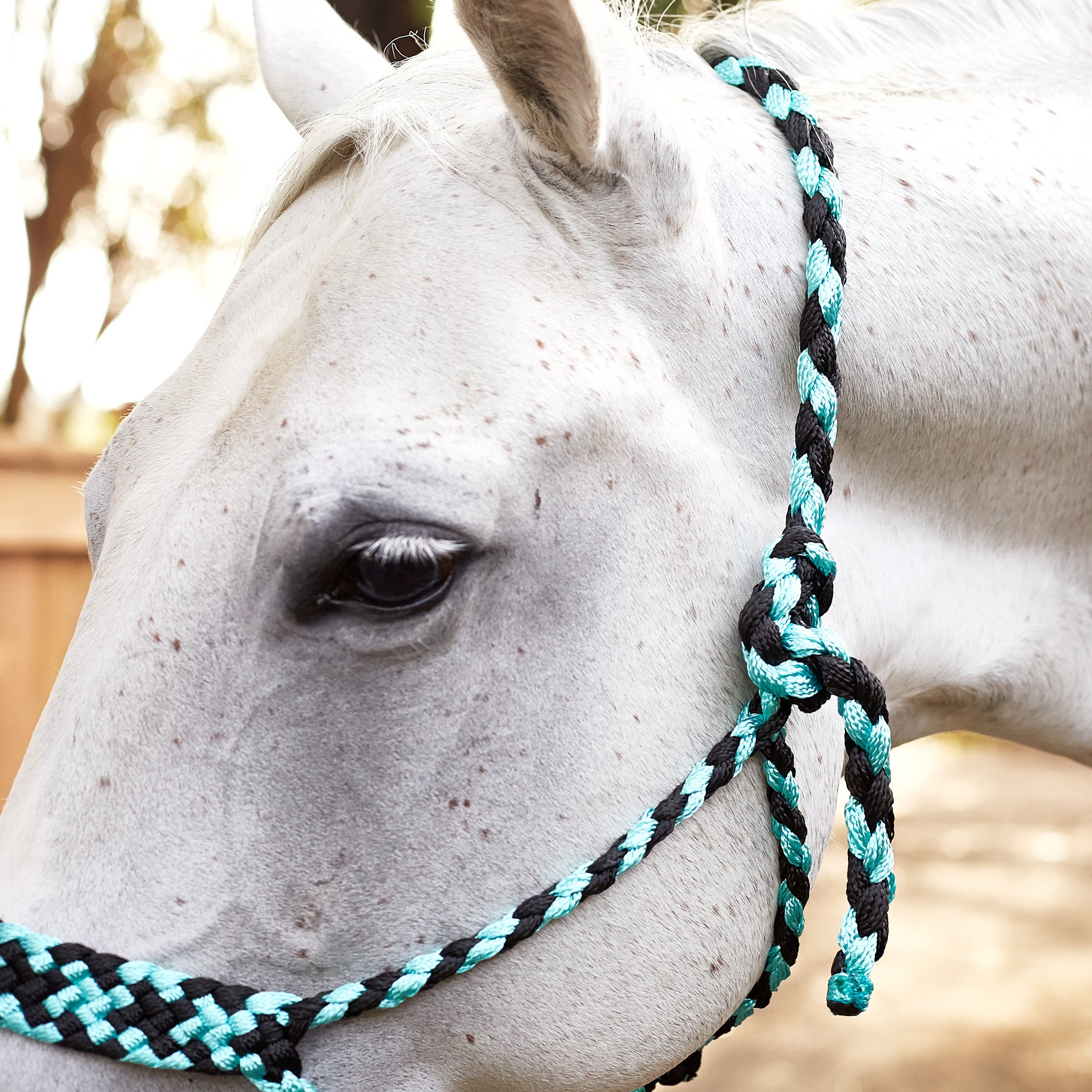 Weaver Braided Rope Halter With 10' Lead Riding Warehouse