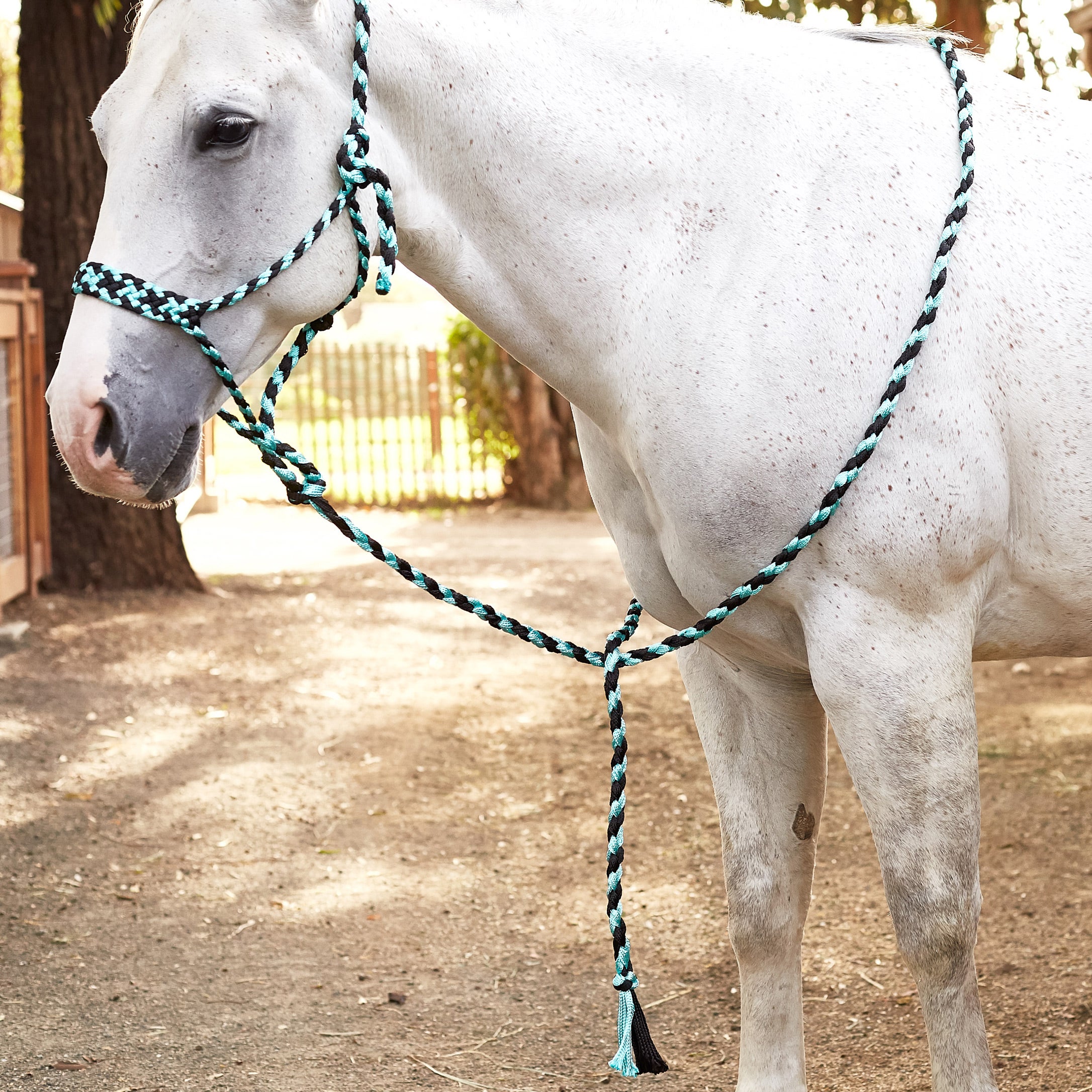 Weaver Braided Rope Halter With 10' Lead Riding Warehouse
