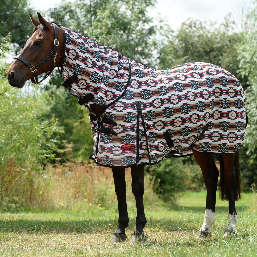 Horse standing in a field wearing the Weatherbeeta Essential II Mesh Fly Sheet. 