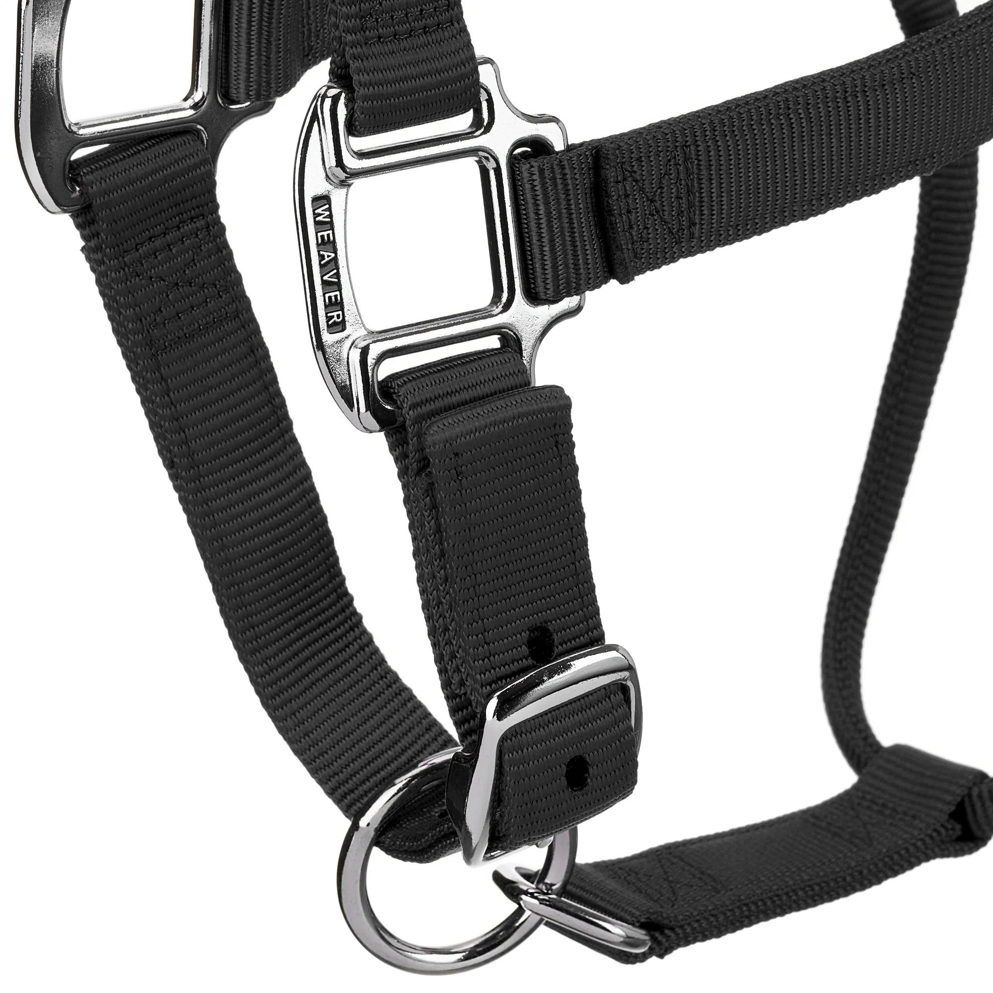 Weaver Original Adjustable Nylon Horse Halter w/Chrome Riding Warehouse