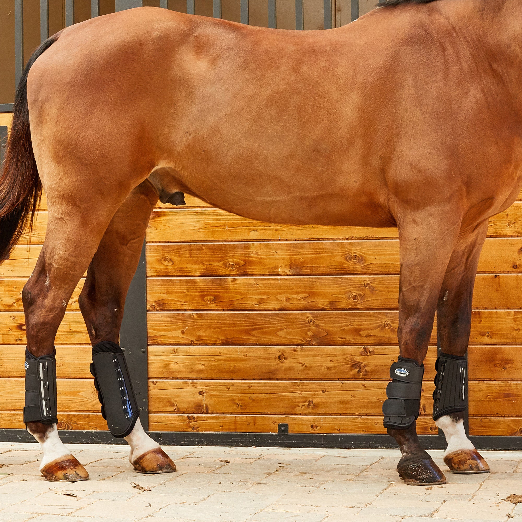 Weatherbeeta Eventing Cross Country Horse Boots Front
