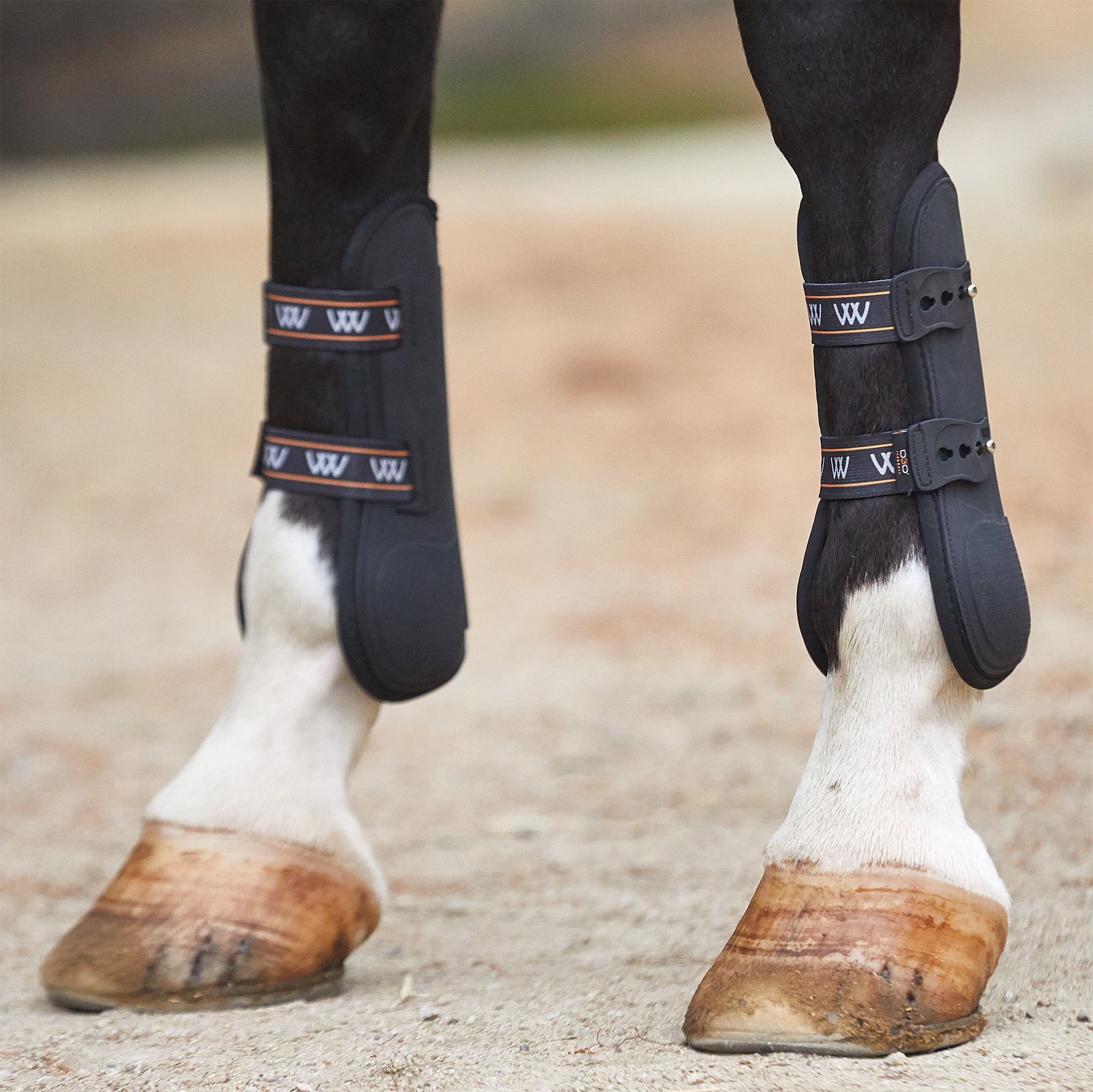 Woof Wear Smart Tendon D30 Open Front Horse Boots