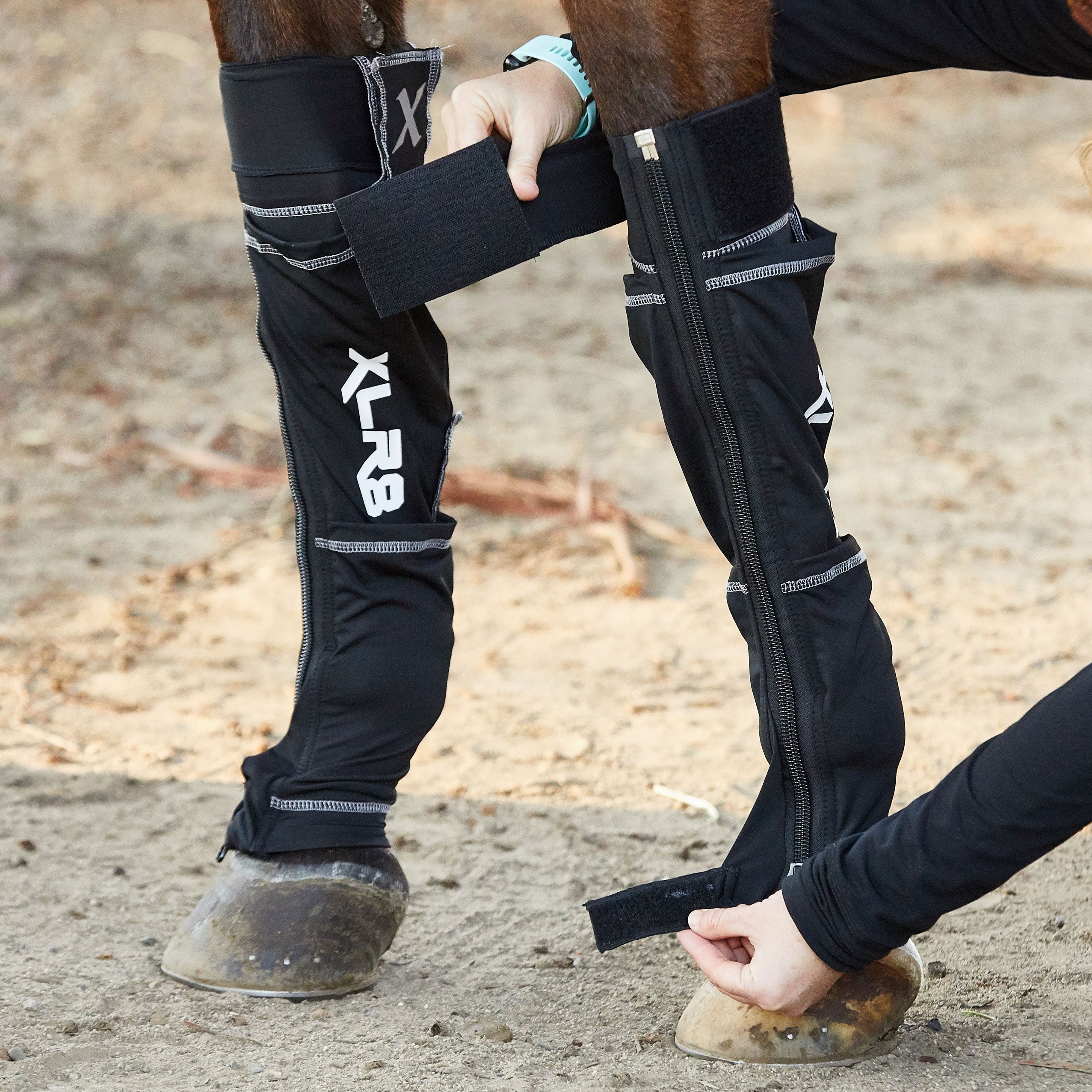 XLR8 Cryotherapy Front Boots Riding Warehouse