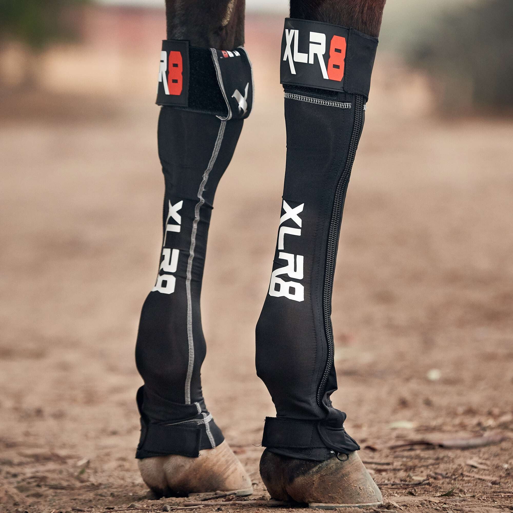 XLR8 GForce Front Boots Riding Warehouse