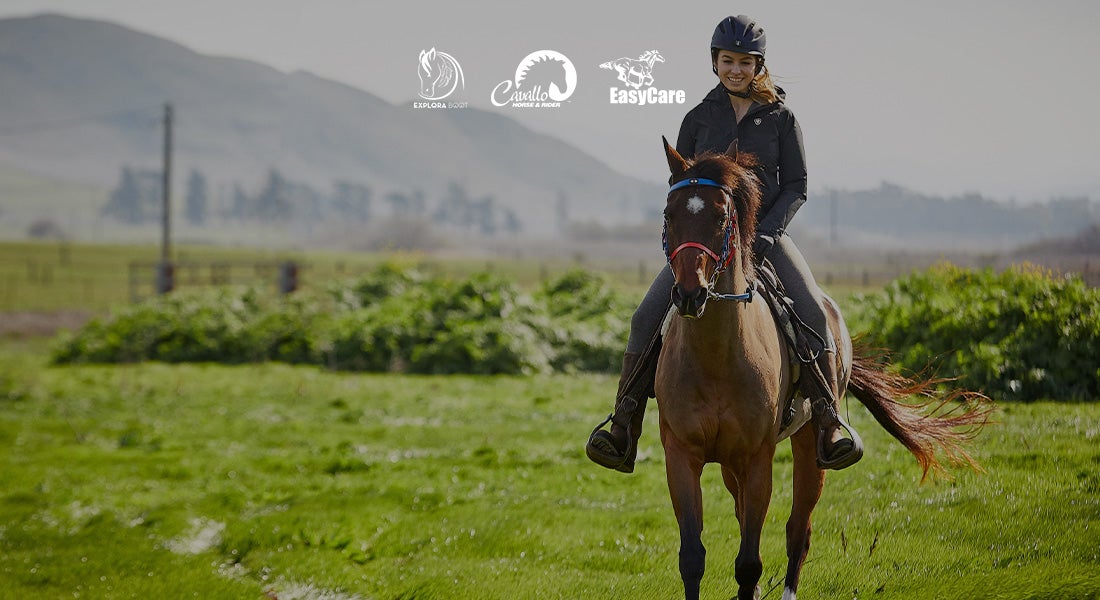 Horse Hoof Boots & Horseshoes Riding Warehouse