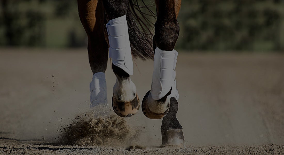 Brushing & Splint & All Purpose Boots Riding Warehouse