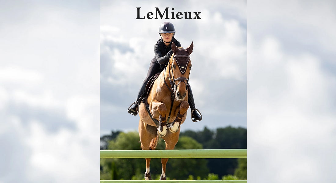 LeMieux Brown Color Collection Riding Warehouse