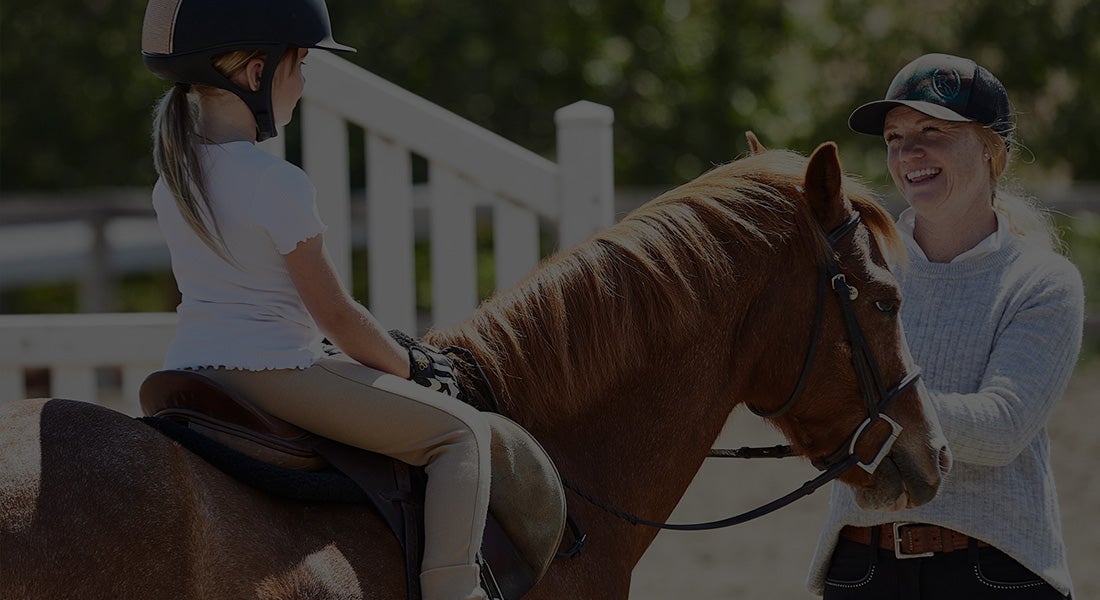 Horse Training Accessories Riding Warehouse