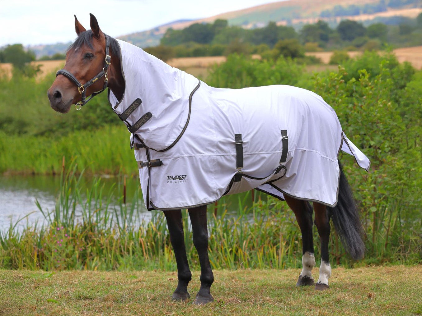 How to Choose the Best Horse Fly Sheet | Riding Warehouse