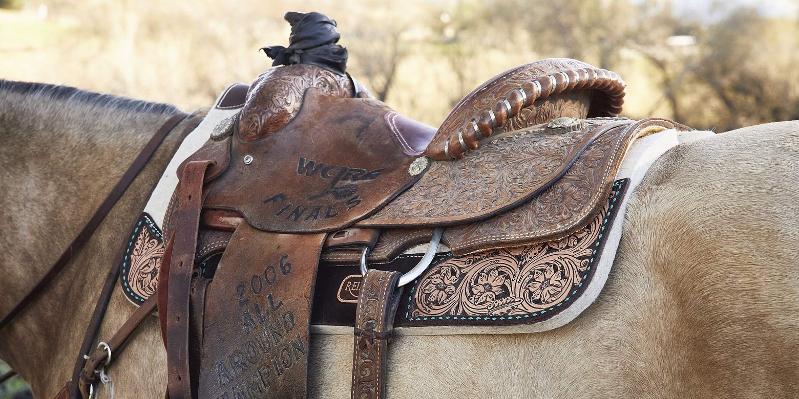Horse Tack Vocabulary Terms | Riding Warehouse