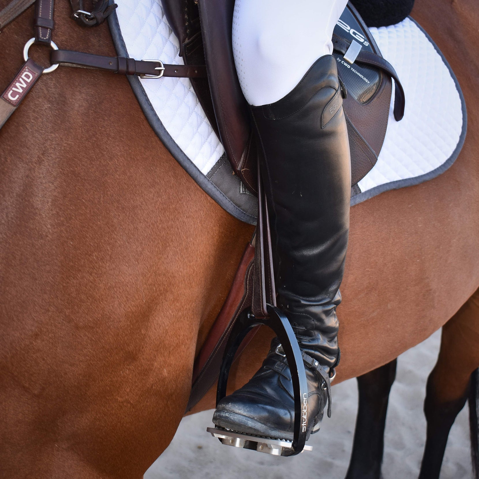 Best English Riding Stirrups