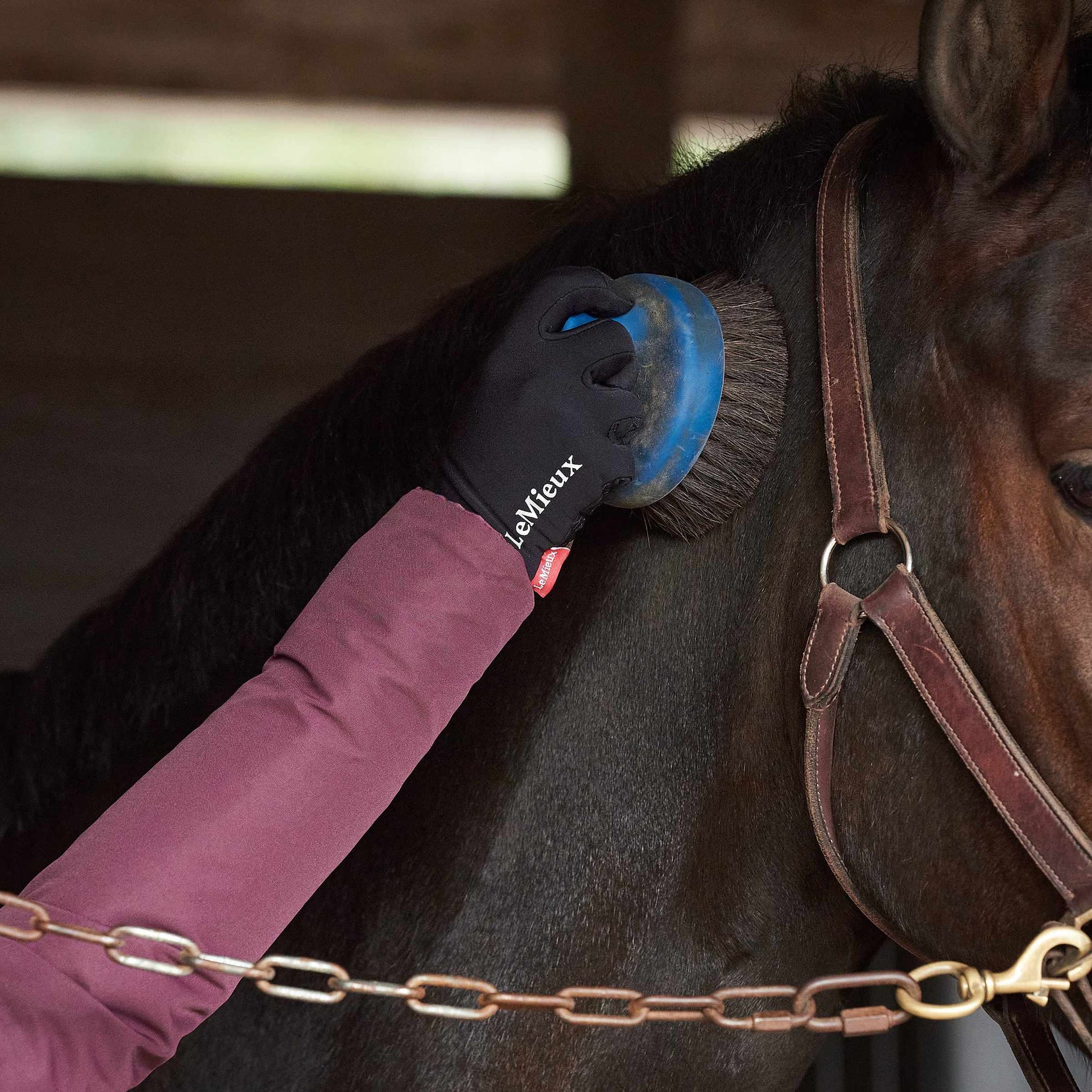 Best Winter Riding Gloves