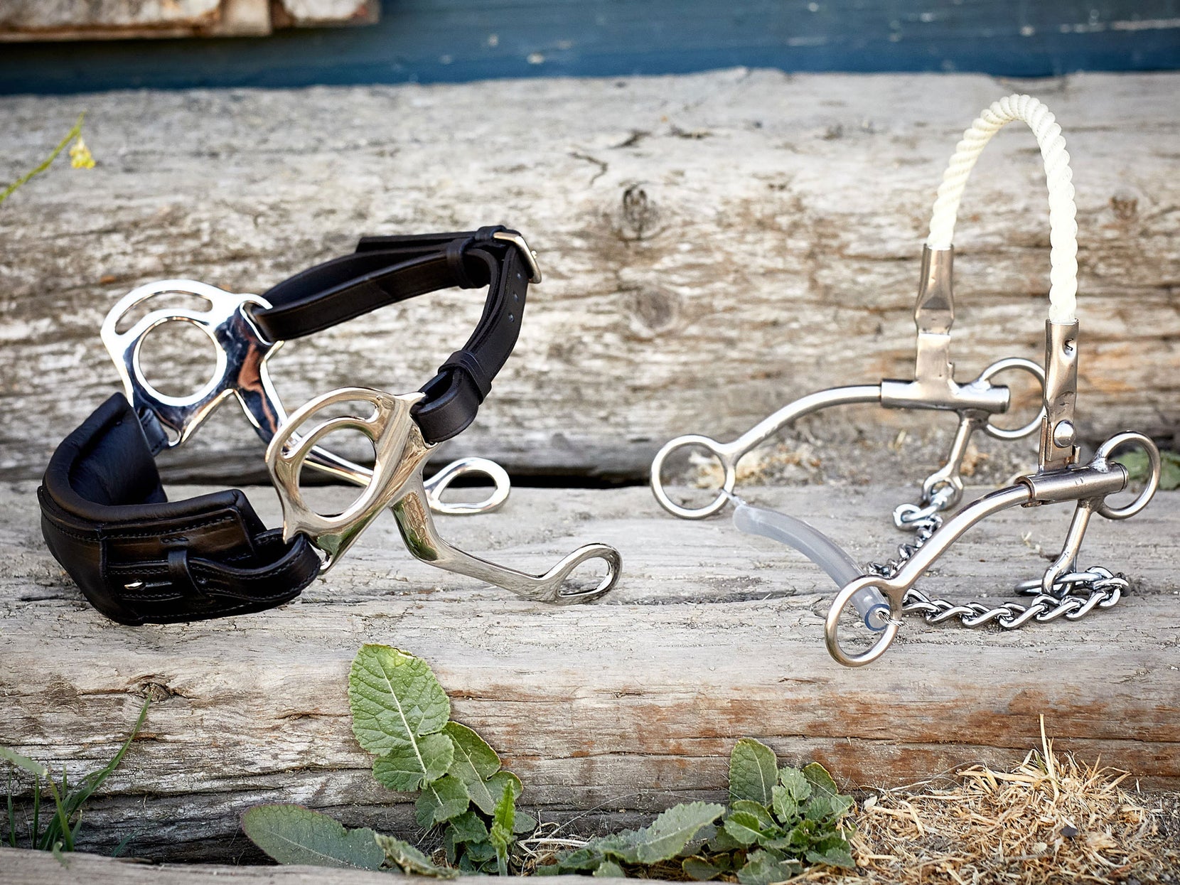 Types of Bit Cheekpieces