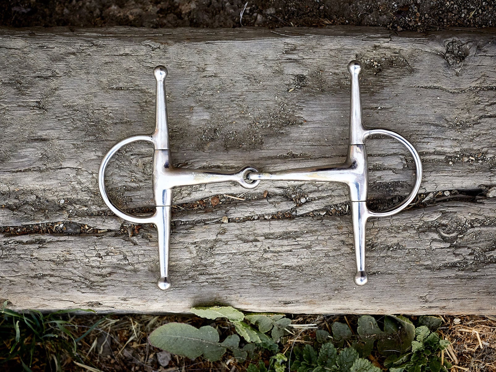 Types of Bit Cheekpieces