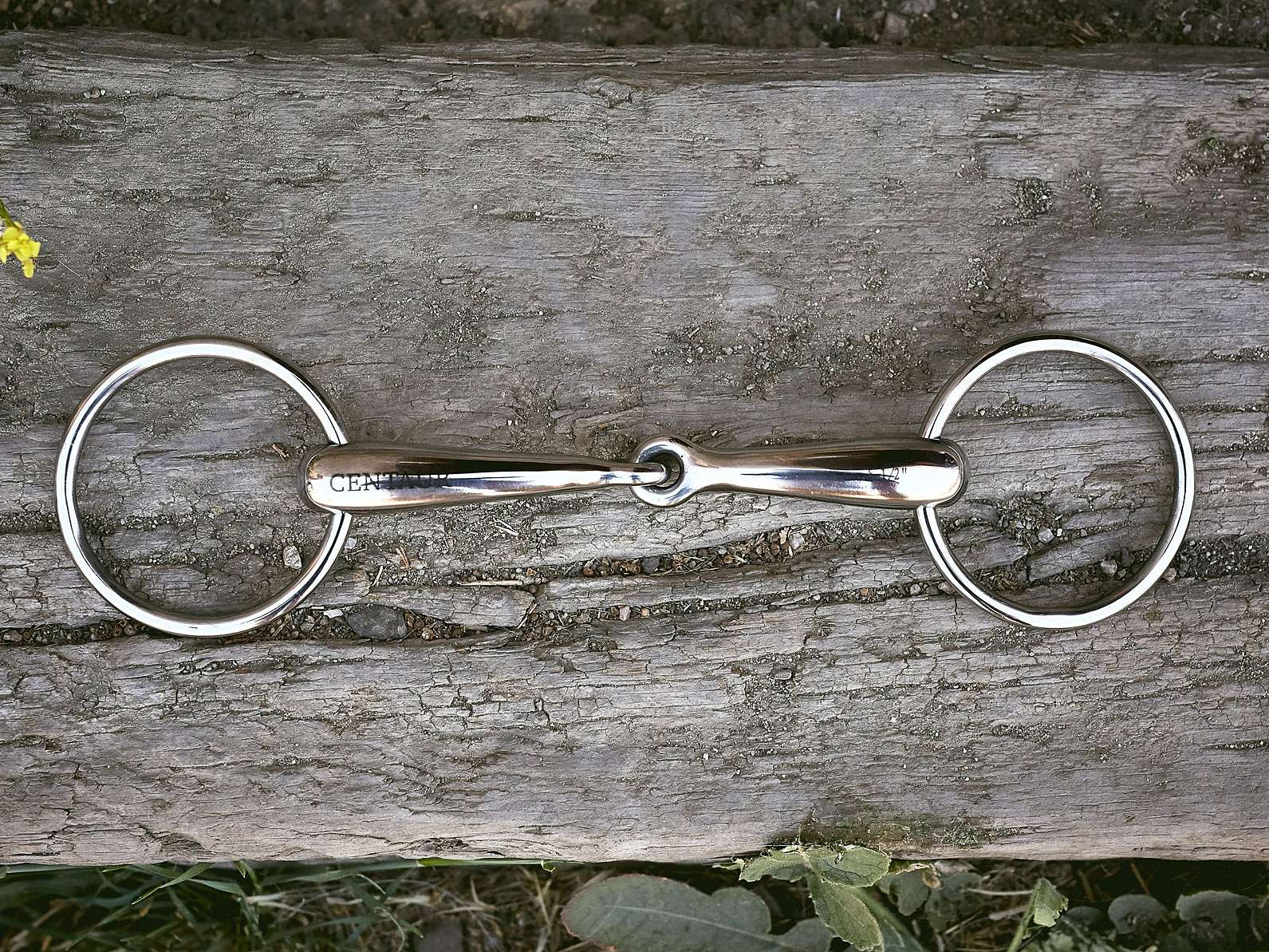 Types of Bit Mouthpieces