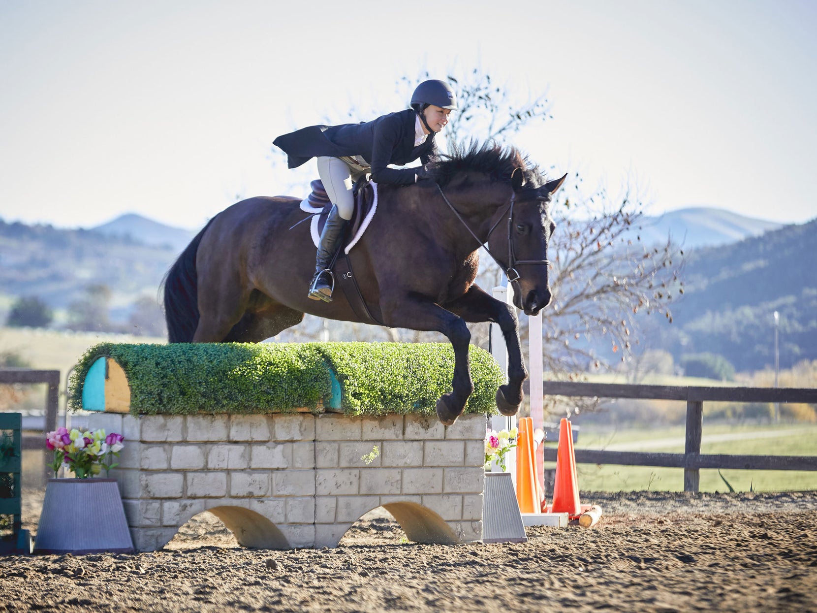 Horse ShowLegal Bits for Dressage and HunterJumpers