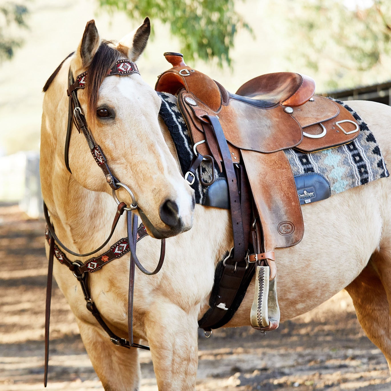 Western Saddle Pads 101