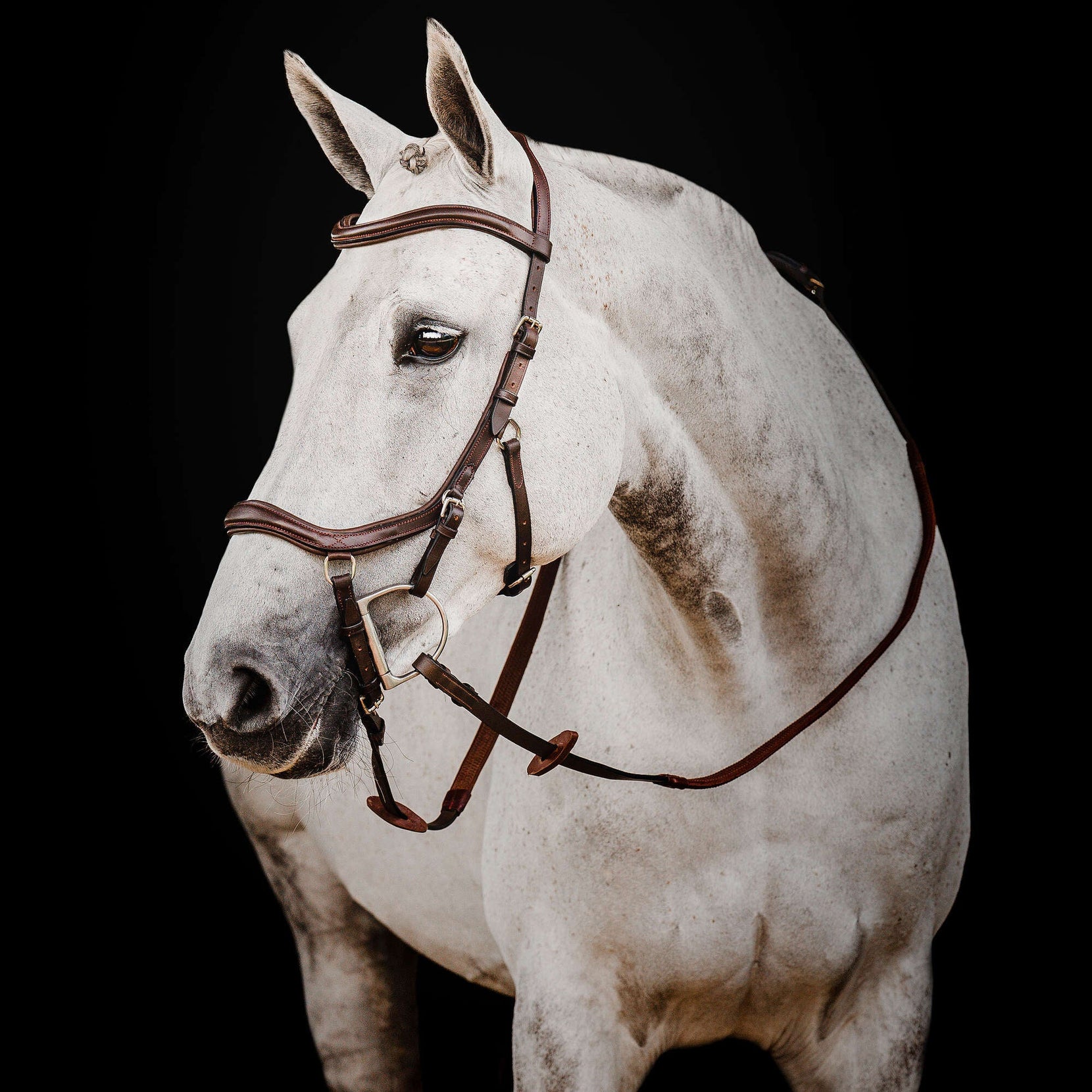 Best English Bridles of 2023